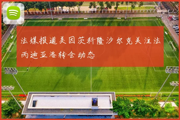 法媒报道美因茨科隆沙尔克关注法丙迪亚洛转会动态