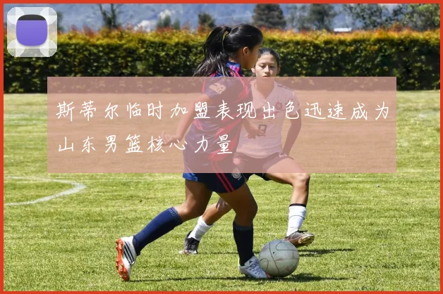 斯蒂尔临时加盟表现出色迅速成为山东男篮核心力量
